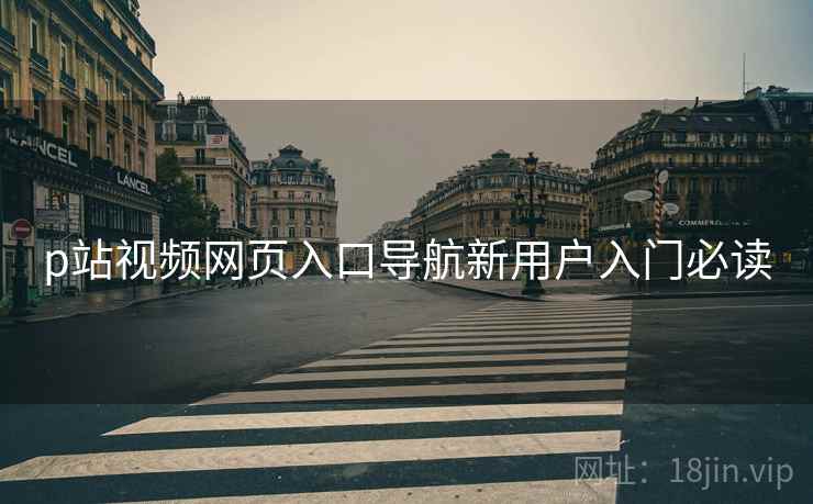 p站视频网页入口导航新用户入门必读 第2张 p站视频网页入口导航新用户入门必读 第2张