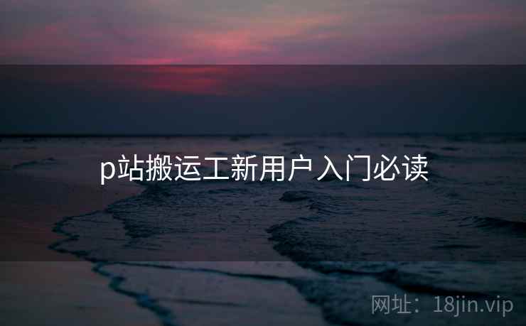 p站搬运工新用户入门必读 第1张 p站搬运工新用户入门必读 第1张