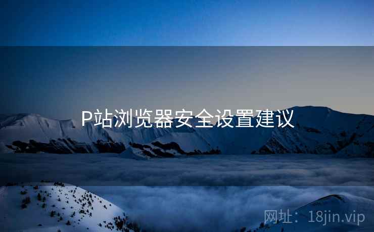 P站浏览器安全设置建议 第2张 P站浏览器安全设置建议 第2张